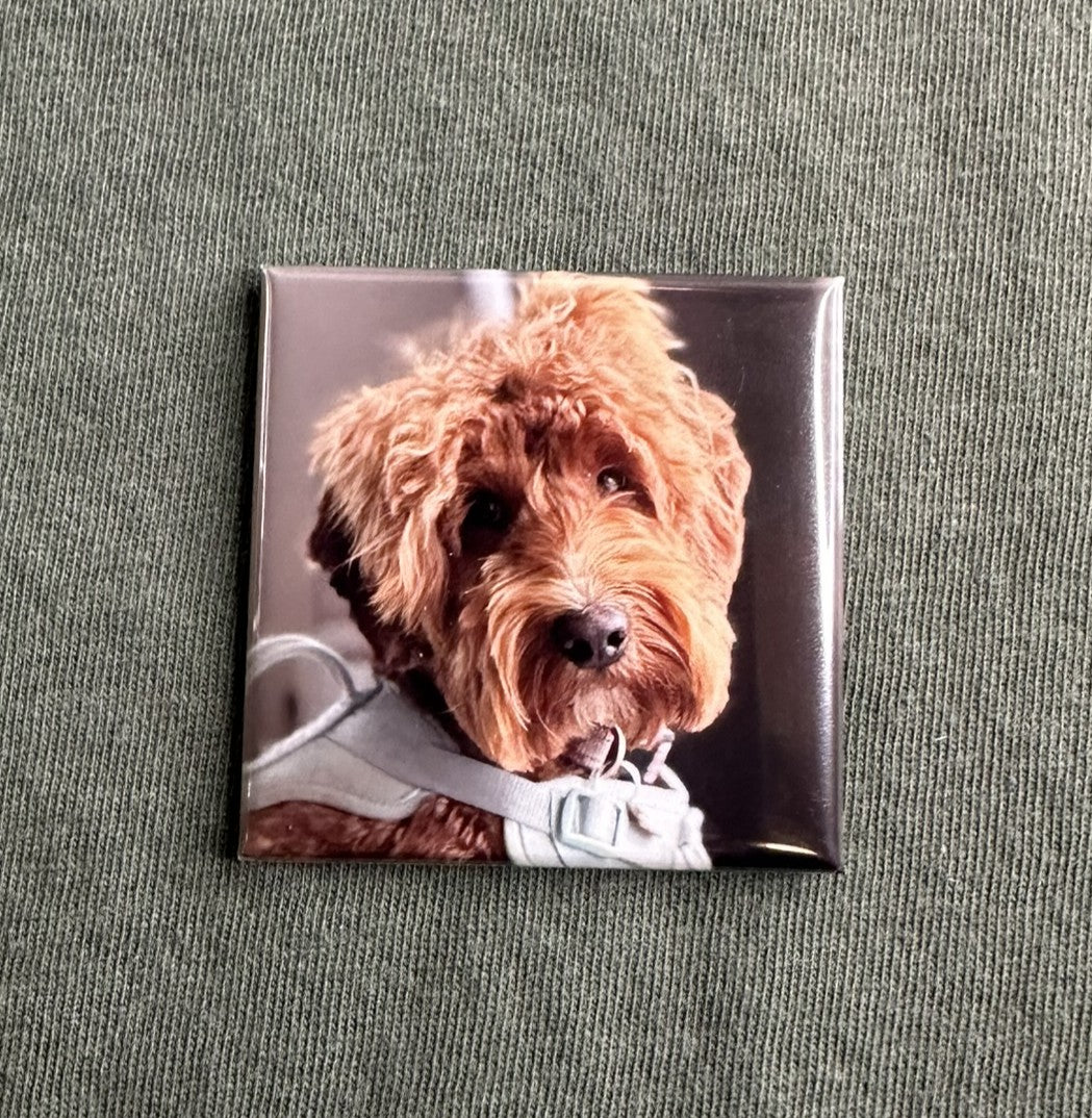Custom Photo Magnets
